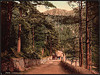 [View I, Aberglaslyn Pass, Wales] (LOC) by The Library of Congress