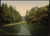[In Zeister Wood, Utrecht, Holland] (LOC) by The Library of Congress
