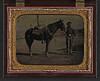 [Unidentified soldier in Union uniform with saber and horse] (LOC) by The Library of Congress