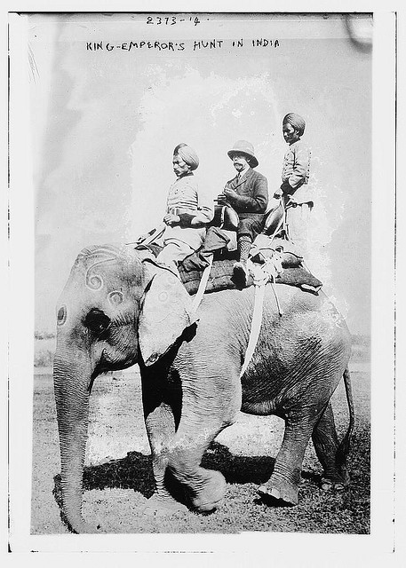 King Emperor's Hunt in India (LOC)