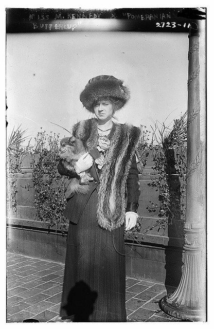 Miss M. Kennedy & "Pomeranian Buttercup" (LOC)