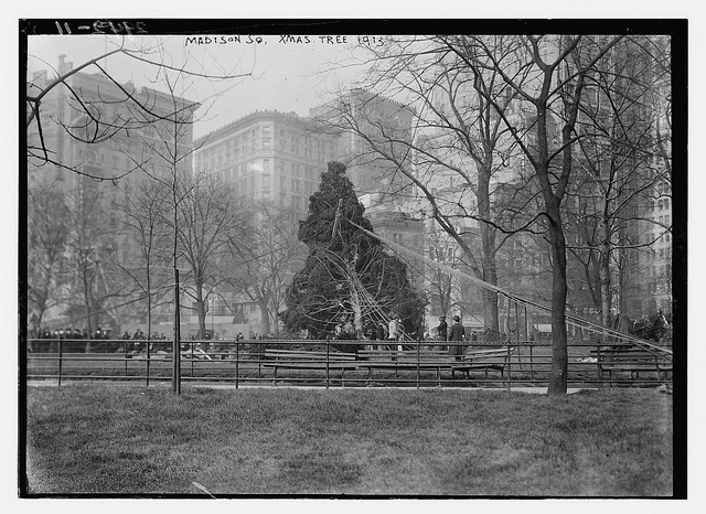 Madison Sq. Xmas tree - 1913 (LOC)