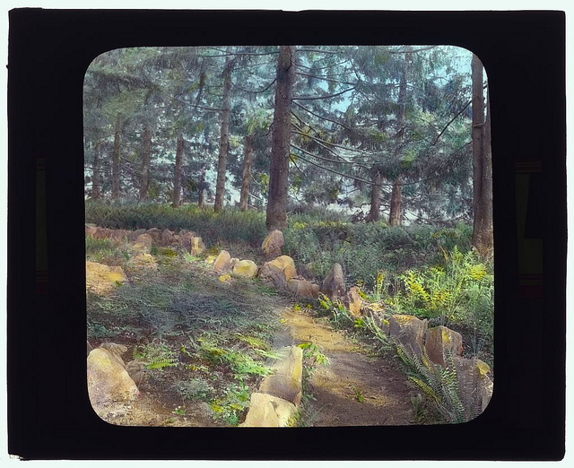 ["Lyndhurst," Finley Johnson Shepard house, 635 South Broadway, Tarrytown, New York. (LOC)