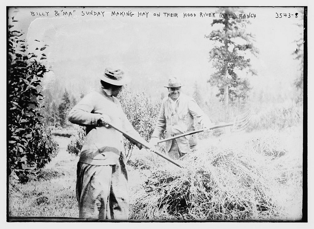 Billy and "Ma" Sunday making hay on their Hood River (Ore.) ranch  (LOC)