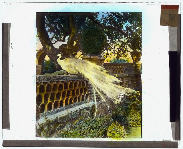 ["Quiet Corner," John Wesley Baxter, Dublin and Hill Roads, Greenwich, Connecticut.  (LOC)