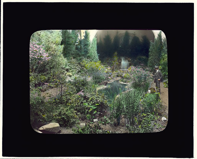 [Boston Horticultural Society Exhibition, Horticultural Hall, Massachusetts Avenue, Boston, Massachusetts. (LOC)