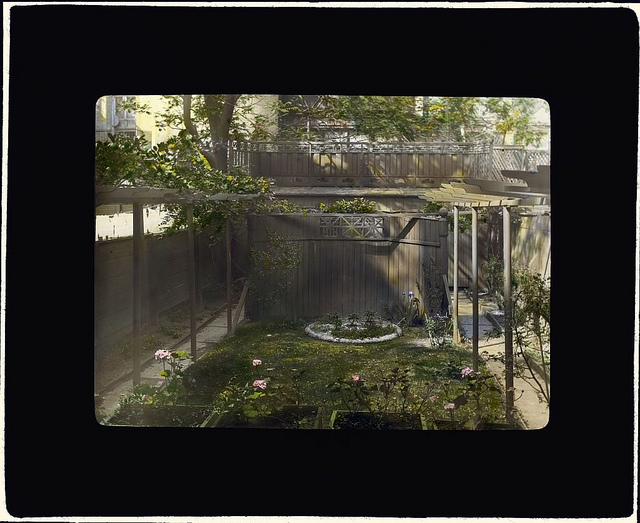 [Unidentified backyard garden, probably in New York, New York. (LOC)