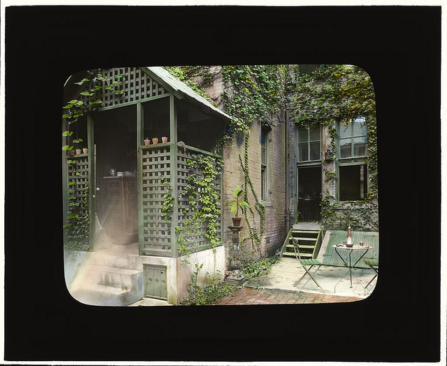 [Unidentified townhouse backyard, probably in New York, New York. (LOC)