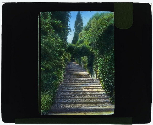 [Botanical Garden, Isola Madre, Lake Maggiore, Piedmont, Italy. (LOC)