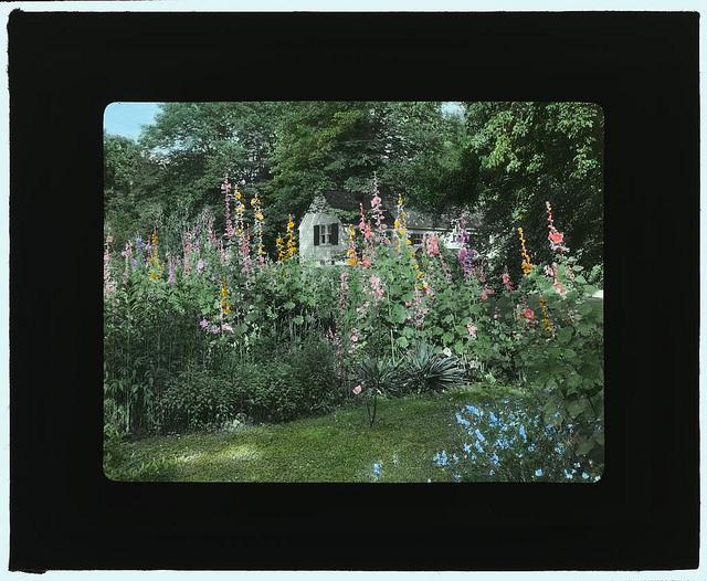 [Mary Ball Washington house, 1200 Charles Street, Fredericksburg, Virgina. (LOC)