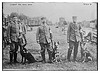 German Red Cross Dogs (LOC) by The Library of Congress