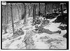 N.Y. Nat'l Guard manouevres, Peekskill, 2/21/15 (LOC) by The Library of Congress