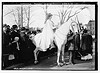 Suffrage parade, Inez Milholland (LOC) by The Library of Congress