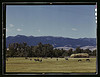 Horse breeding ranch, Grant Co., Oregon (LOC) by The Library of Congress