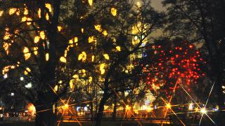 Beleuchtete Bäume und Weihnachtsmarkt am Rathausplatz