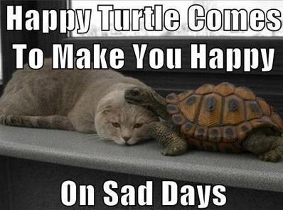 Photo: Turtles help on a Hump Day. FACT. This and more at http://aol.it/Xr5gxj

Via Mandatory