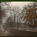 Burning the autumn leaves in Norwich, Connecticut (LOC)