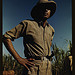 Man in a sugar-cane field during harvest, vicinity of Rio Piedras? Puerto Rico (LOC)