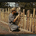 Jack Whinery, homesteader, repairing fence which he built with slabs, Pie Town, New Mexico (LOC)