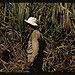 FSA borrower and participant in the sugar cane cooperative, Rio Piedras, Puerto Rico (LOC)