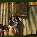 Children in a company housing settlement, Puerto Rico (LOC)