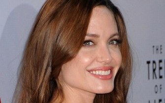 Angelina Jolie Wanted Jennifer Lawrence's Role in Silver Linings Playbook