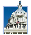 U.S. Capitol Dome