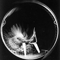 Stroboscopic, Multiple-exposure photograph by Herbert Matter of Rotating Drum.