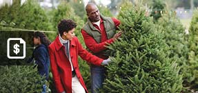 Christmas tree buying guides and specifications