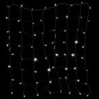 Starry Night 70-Light LED White 4 ft. x 4 ft. Net Light Set