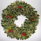 36 in. White Holly Wreath