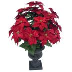 36 in. Red Poinsettia in Pot