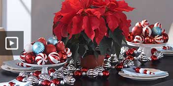 Martha Stewart Christmas Decorations