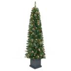 6 ft. Pre-Lit Bradley Potted Artificial Christmas Tree with Clear Lights