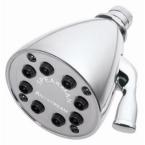 Anystream Icon 8-Jet Showerhead in Polished Nickel