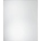 30 in. x 24 in. Beveled Wall Mirror