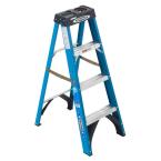 4 ft. Fiberglass Step Ladder 250 lb. Load Capacity (Type I Duty Rating )