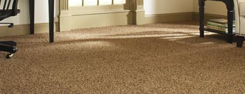 Shop carpet, carpet pad, carpet samples and carpet tiles