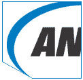 ANSI overview