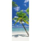 87 in. x 36 in. Ari Atoll Wall Mural