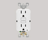 Outlets & Receptacles 