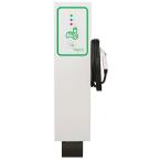 EVlink 30 Amp Level 2 Outdoor Single Unit Pedestal Electric Vehicle Charging Station with RFID Access