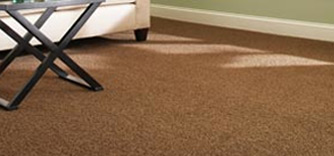 Martha Stewart Living Carpet