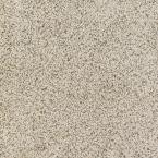 Tranquility Mountain Mist 24 in. x 24 in. Carpet Tile (10 Tiles/Case)
