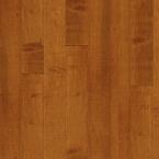 Cinnamon Maple 3/4 in. Thick x 2-1/4 in. Wide x Random Length Solid Hardwood Flooring (20 Sq. ft./Case)