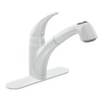 Extensa 1-Handle Kitchen Pullout Faucet in Ivory