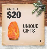 Gifts Under 20 Dollars