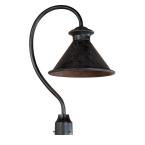 Dark Sky Essen Collection 12 In. 1-Light Outdoor Post Light in Bronze