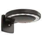 LED Wall-Mount Outdoor Bronze Area Light