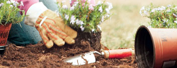 Get landscaping supplies to improve your landscape for our Garden Center